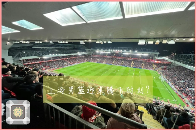 上海男篮迎来腾飞时刻？
