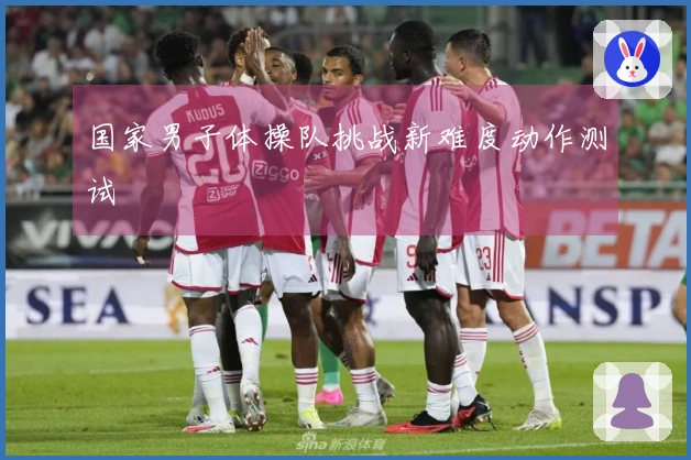 国家男子体操队挑战新难度动作测试