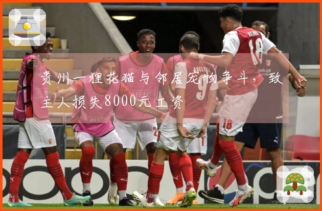 贵州一狸花猫与邻居宠物争斗，致主人损失8000元工资