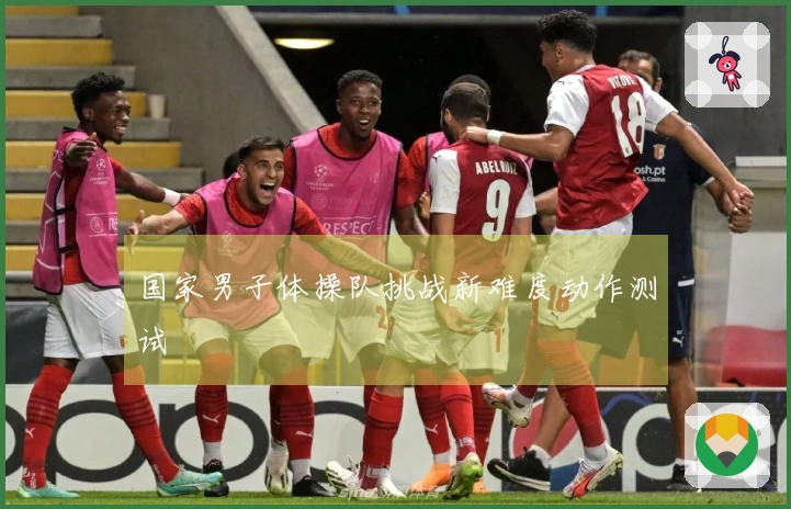 国家男子体操队挑战新难度动作测试